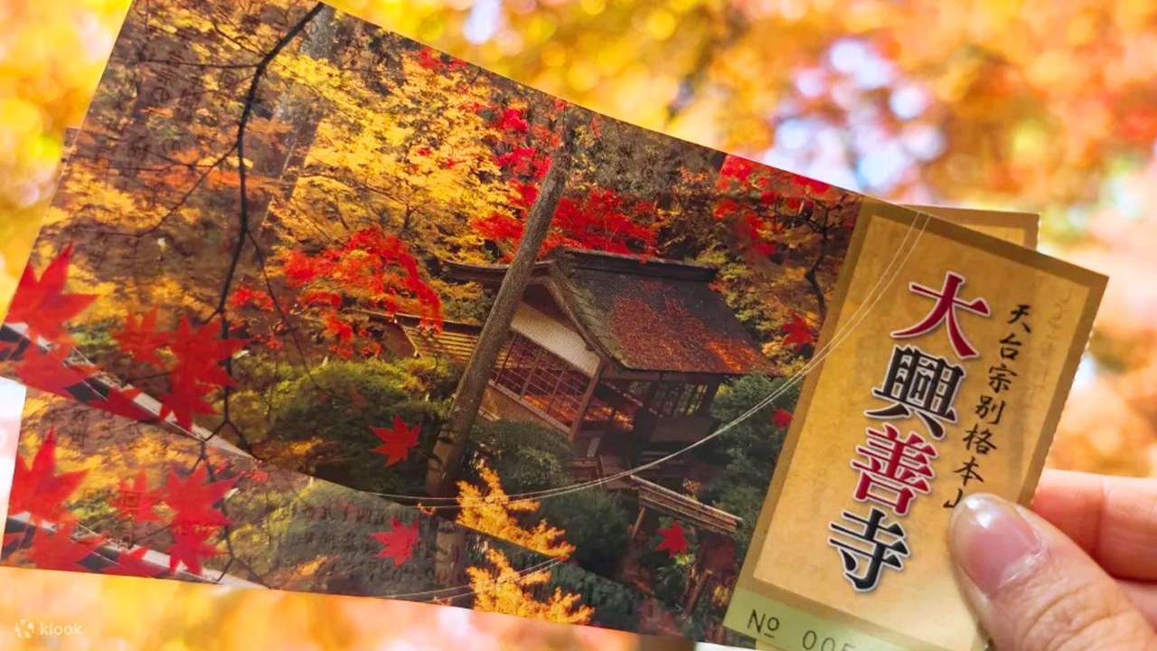 Kyushu Autumn Foliage Tour | Saga Nine-Year Hermitage & Mifuneyama